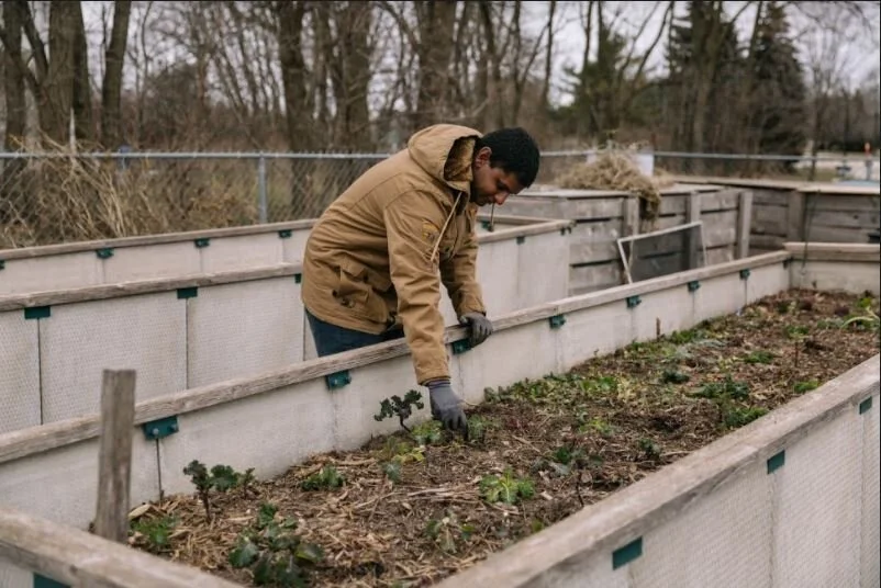 
Now, Malvern has three community gardens supported by the Malvern Family Resource Center, and coordinated by members of the resident-led Malvern Food Security Work Group. The first is The Malvern Children Garden created for youth and children to gr